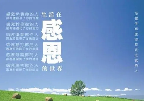 踐行“八字要求”，勇于擔當甘于奉獻——學“感恩、知責、律己、有為”有感