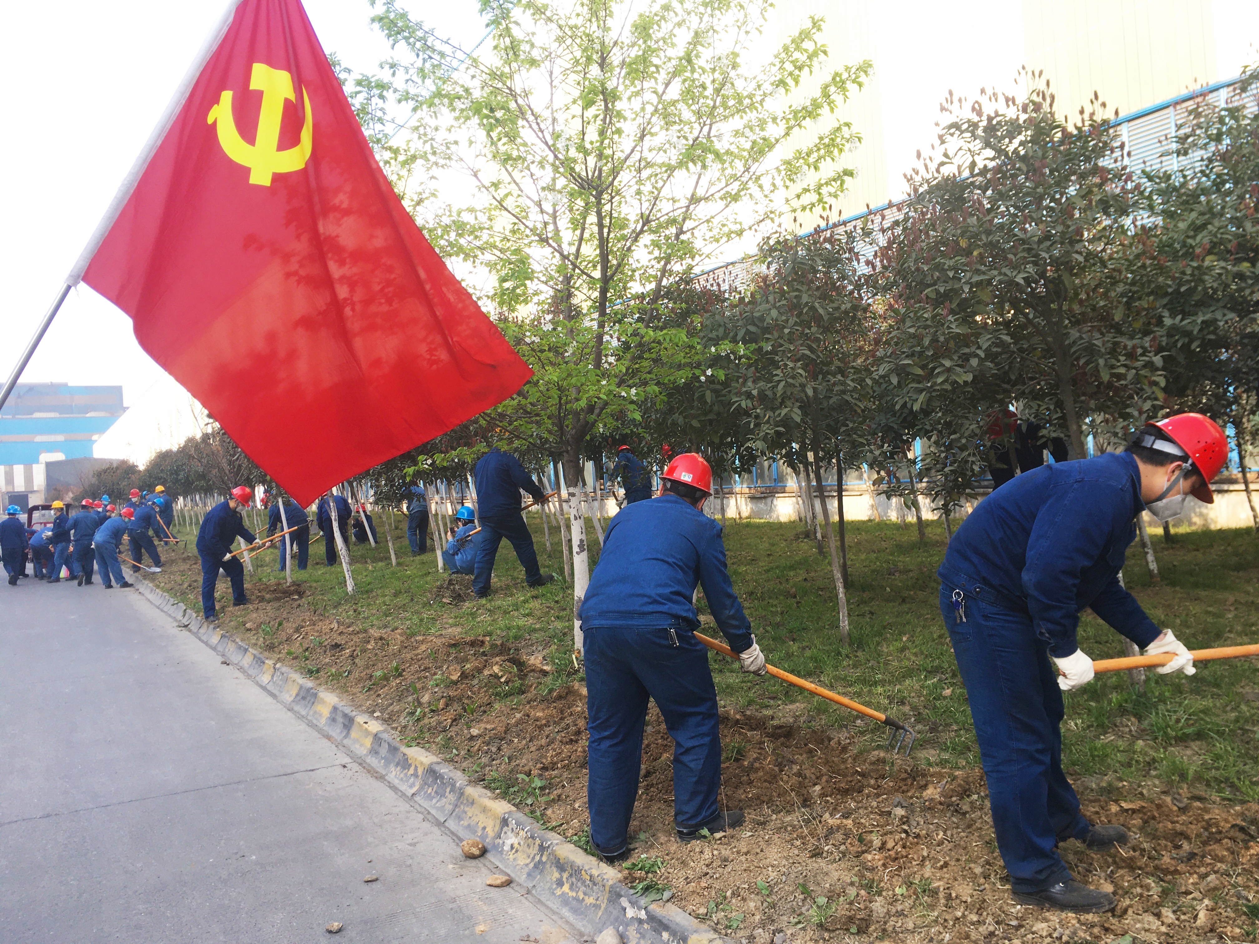 堅持“黨建紅”引領  擘畫效益軋鋼藍圖