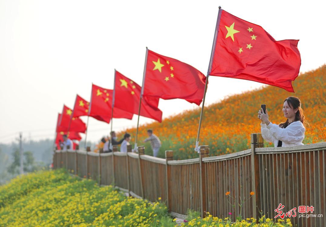 山河已秋，見證光陰的勛章