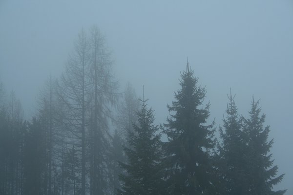 天蕩山深秋雨后語