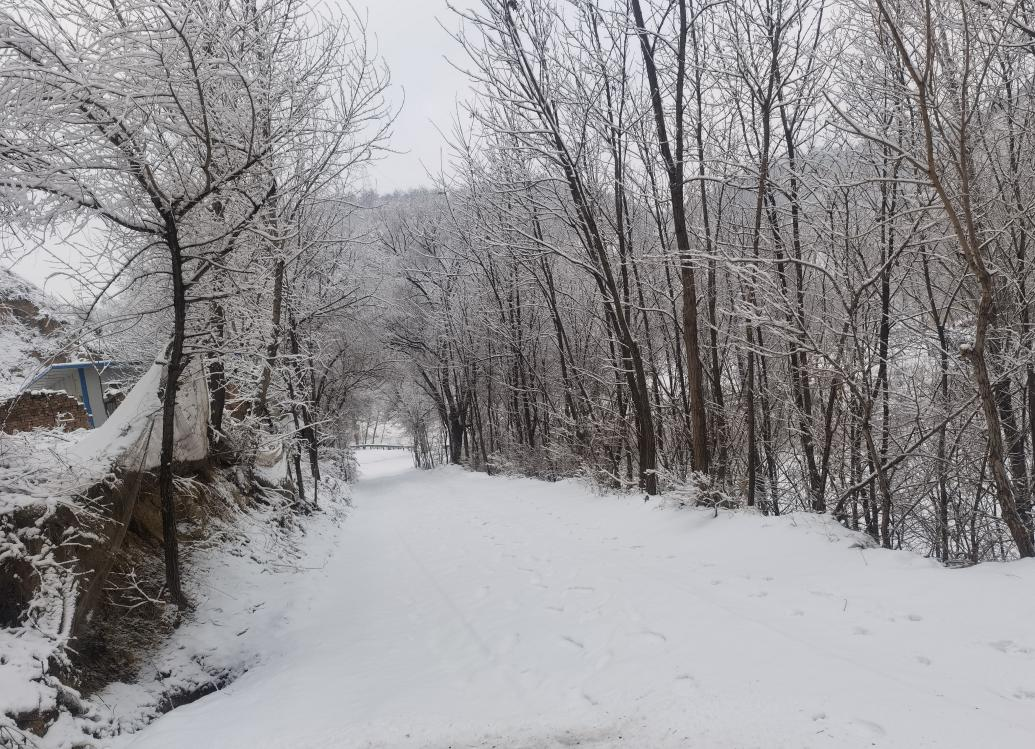 今我來思，雨雪霏霏