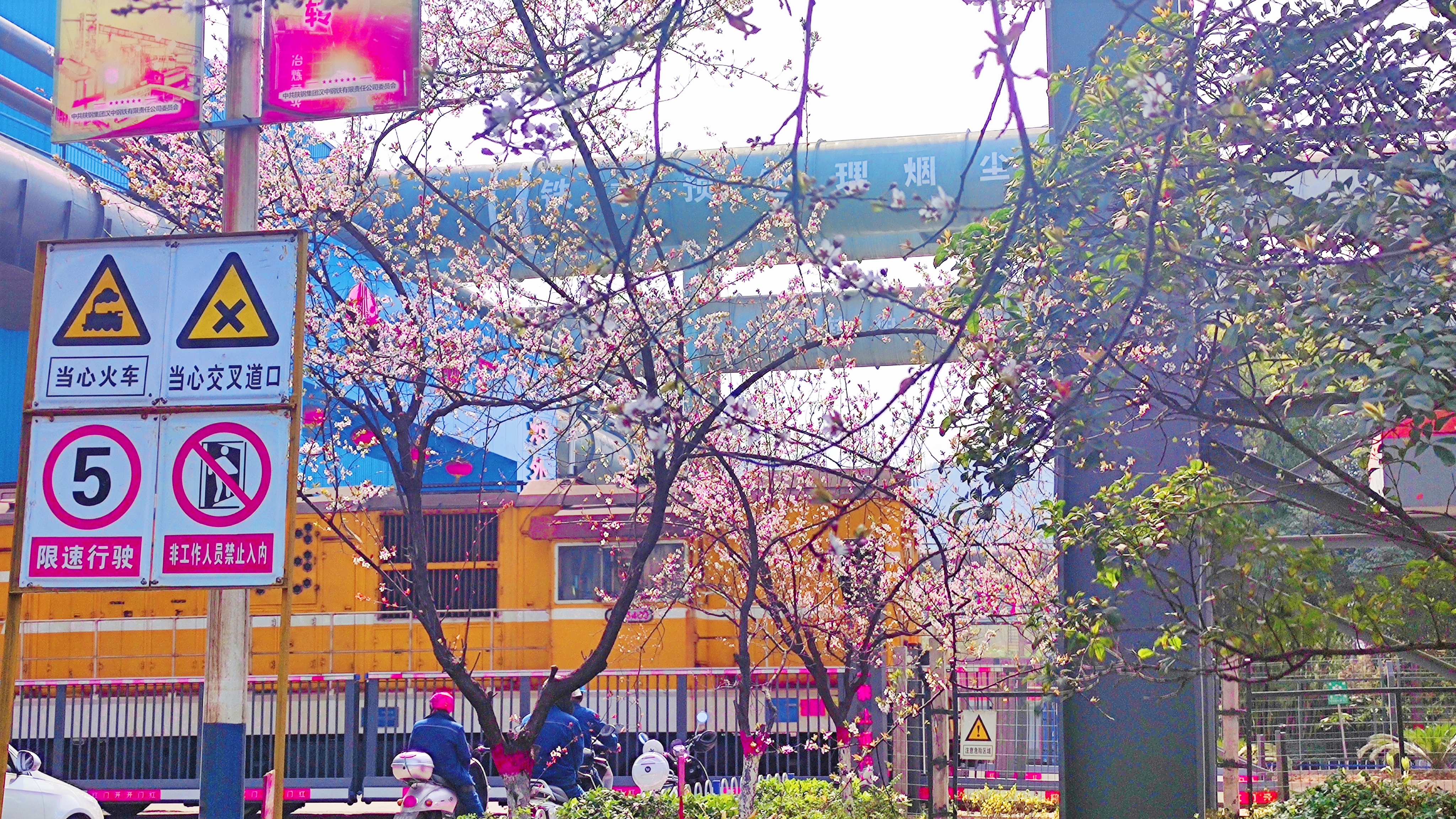 春滿鋼城