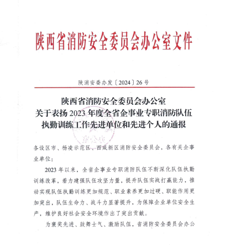 喜訊！漢鋼公司應(yīng)急救援中心榮獲多項(xiàng)殊榮